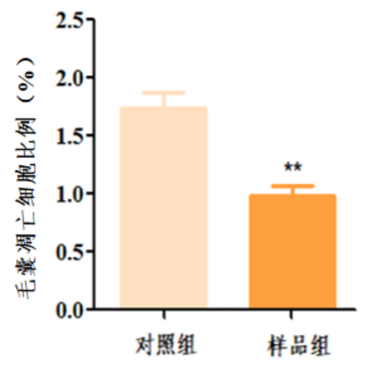 图片 3.png