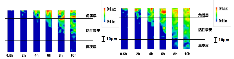 图片 1.png
