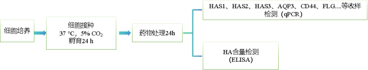 1758097169196229.png 图片 2.png