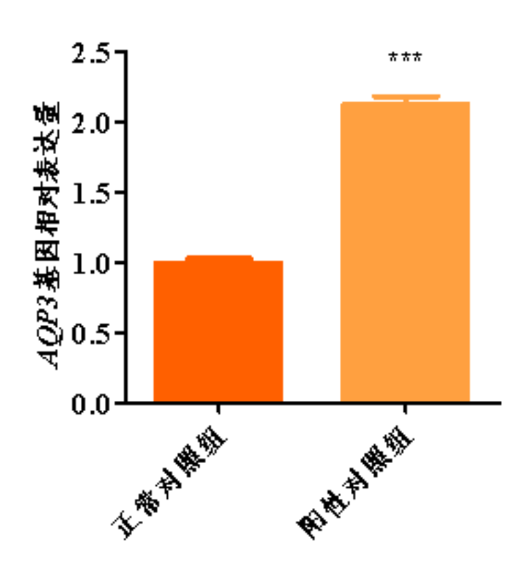 1758097175165539.png 图片 3.png