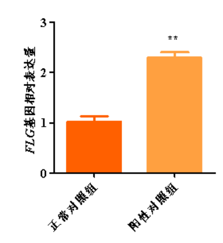 1758097210714856.png 图片 4.png