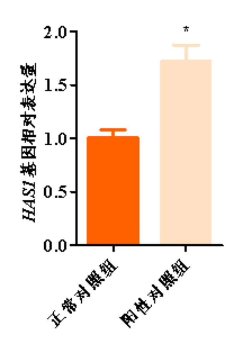 1758097218738833.png 图片 5.png