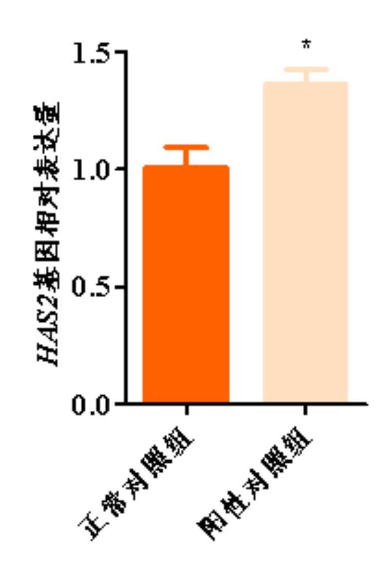 1758097225198069.png 图片 6.png