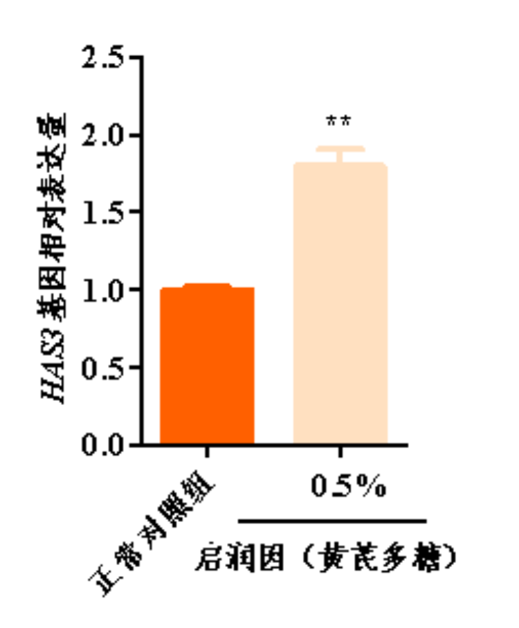 1758097230331745.png 图片 7.png