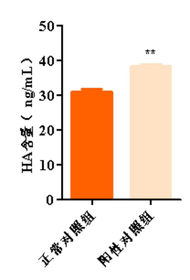 1758097237247499.png 图片 8.png