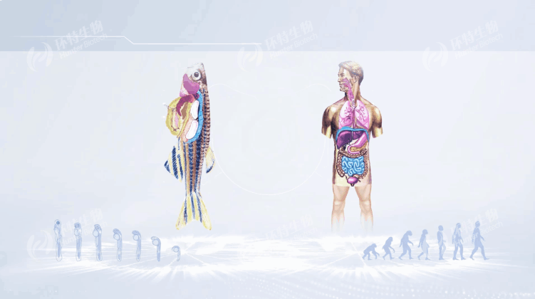 399ae1e1c80e4ddb8a1c8196501c2f6f.gif