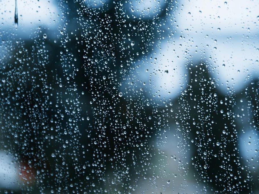 科学祛湿的下半场，答案或许藏在“肠道菌群”中